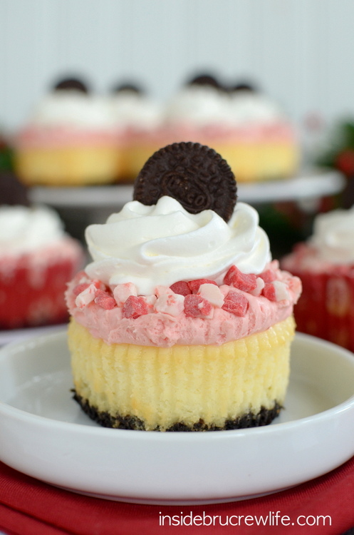 White Chocolate Peppermint Mousse Cheesecakes