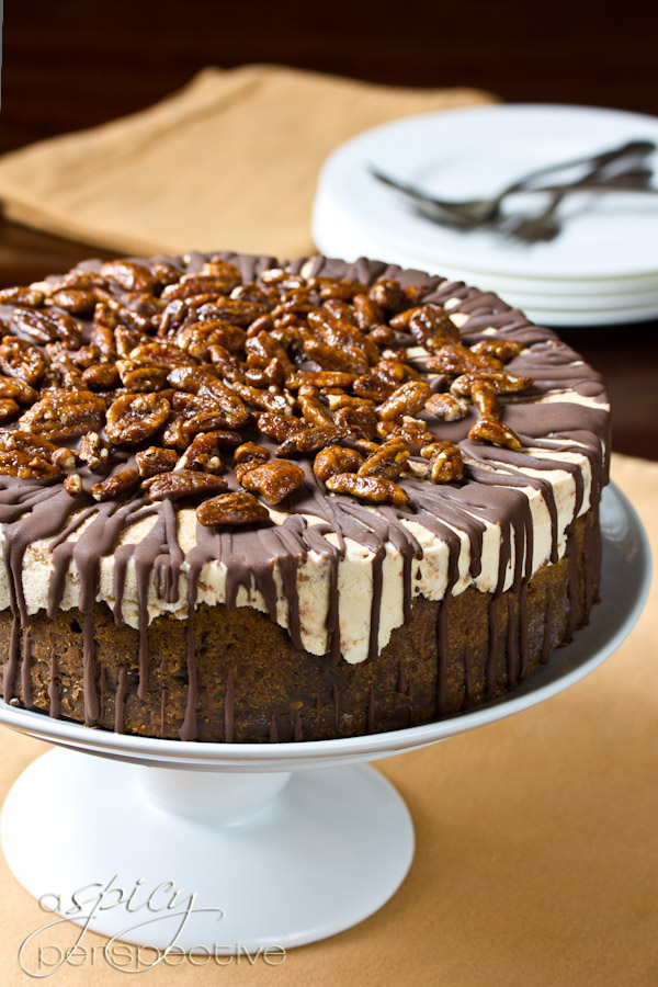 Turtle Pumpkin Ice Cream Cake