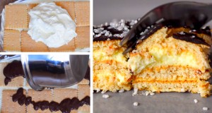 Homemade No-Bake Chocolate Eclair Cake