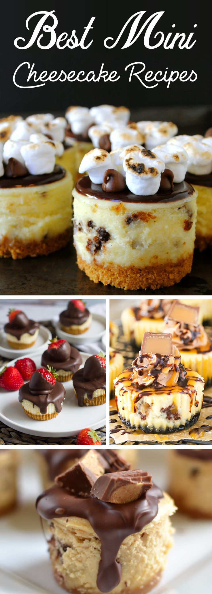 Mini Cheesecake Recipes